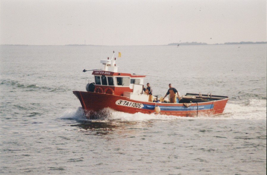 Imagen de Capitol 5 - 1990